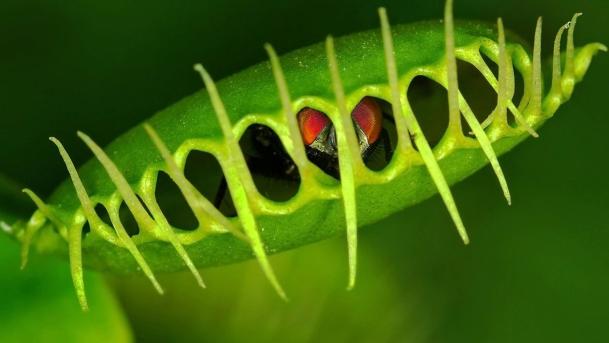 Khả Năng Quản Lý AMD PRO